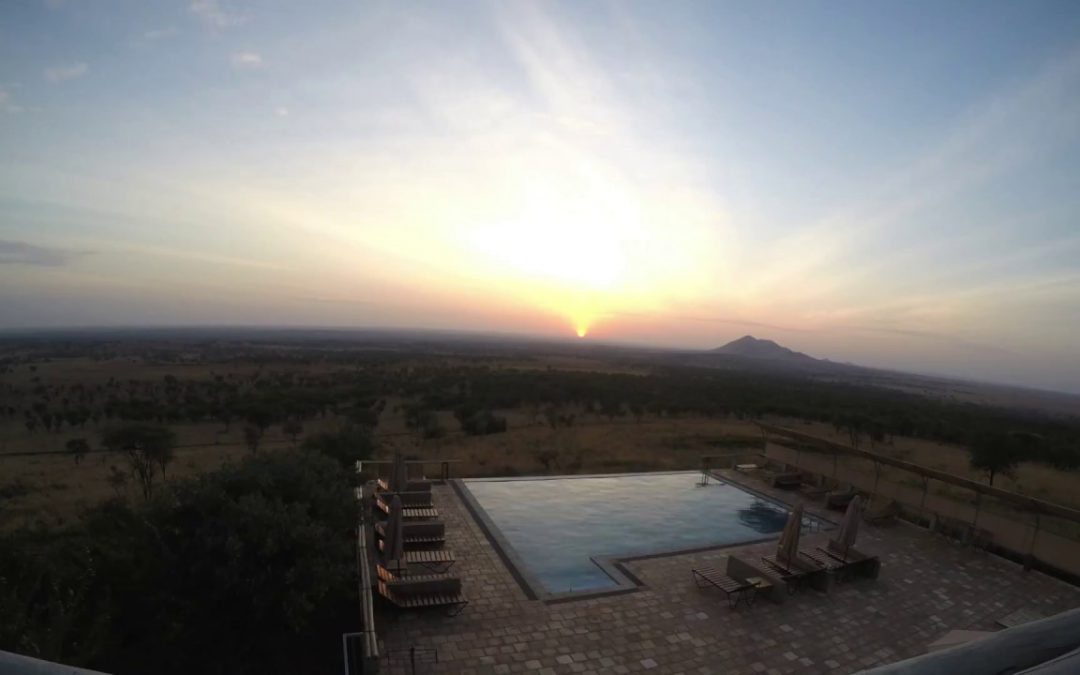 Safari Tarangire Ngorongoro Serengeti Tansania